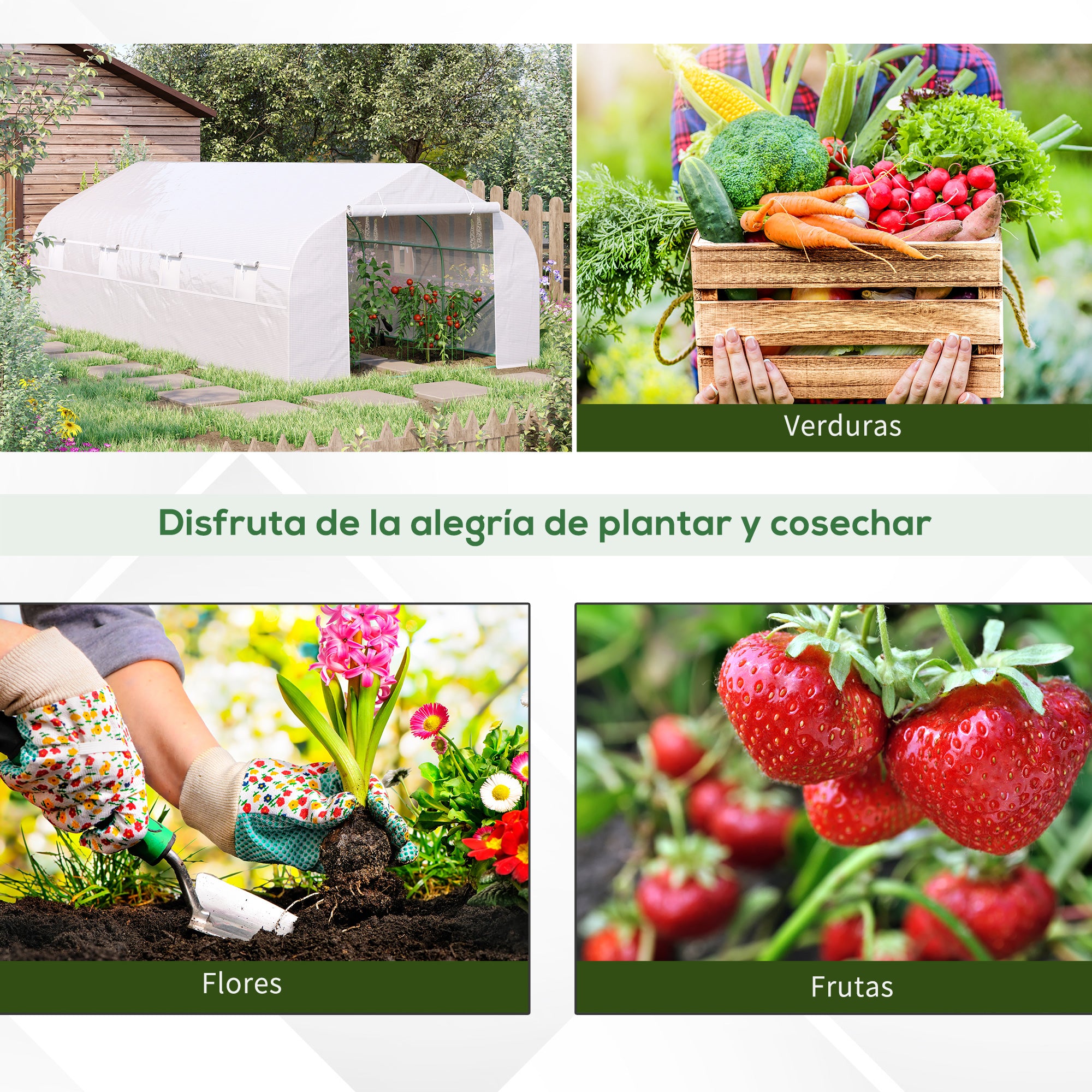 Garden Greenhouse 6x3x2 m Tunnel Type for Planting Vegetables with 8 Breathable Windows and Roll-Up Zipper Door Steel White