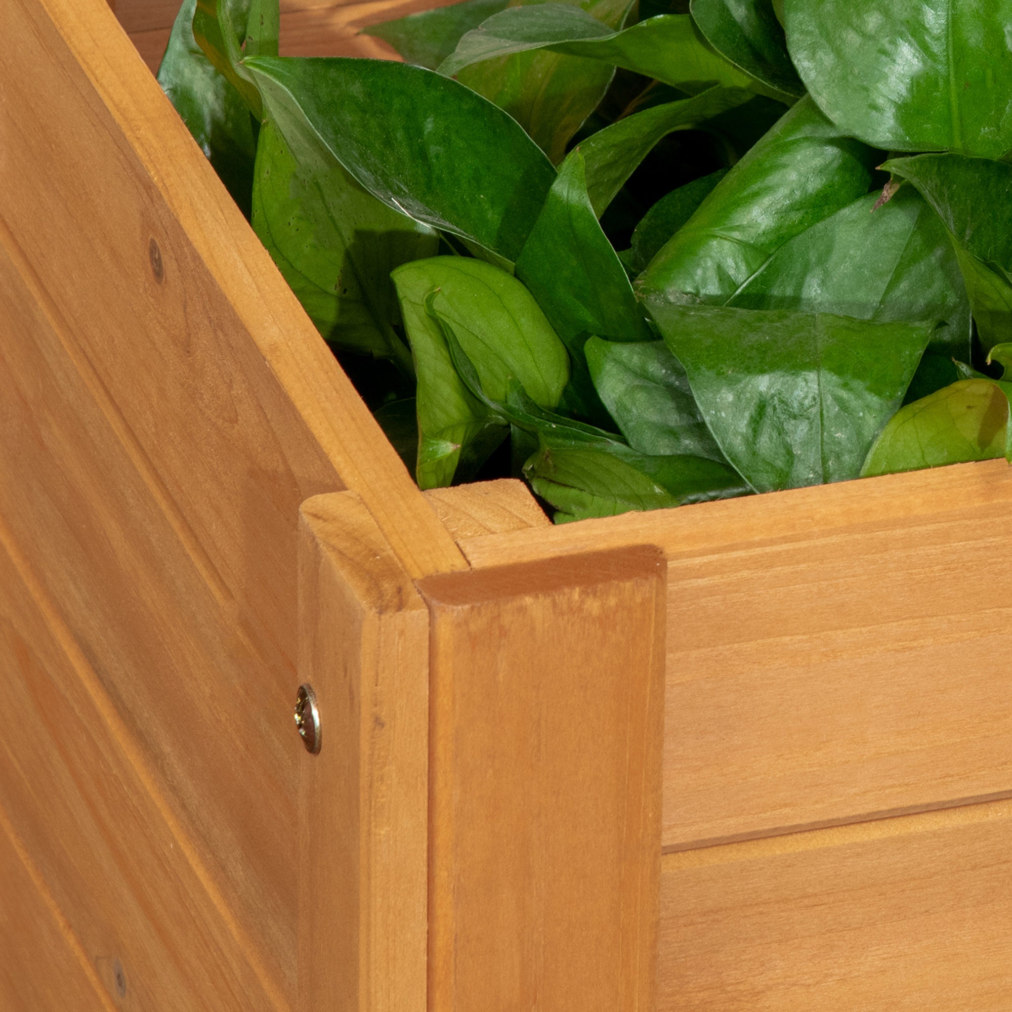 Raised Planter with Trellis for Flowers Plants - 54.5L x 52W x 180H cm - Pre-Oiled Fir Wood