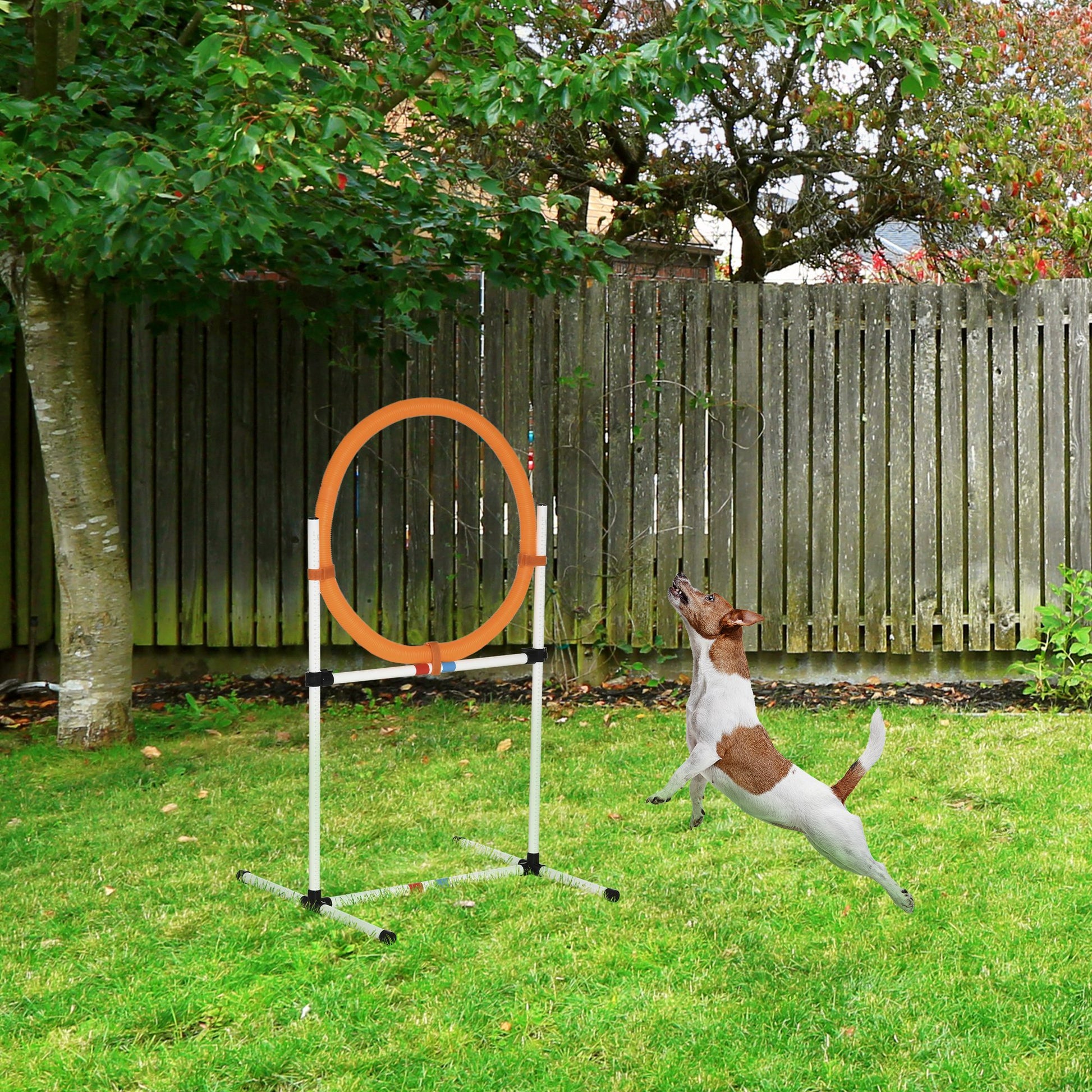 Dog Training Set Spring Ring for Pet Agility Training Portable PE White + Orange 74.5 x 66 x 91 cm