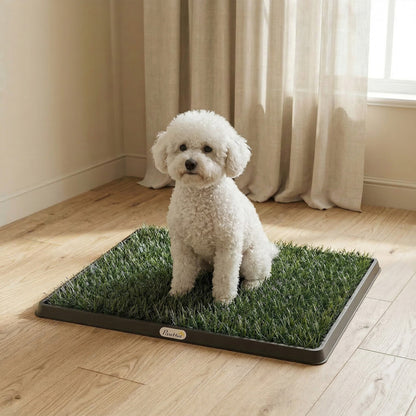 Dog Toilet 24.8 x 19.9 in – Washable Artificial Grass Potty Tray for Puppies & Small/Medium Dogs, Ideal for Balcony & Apartment