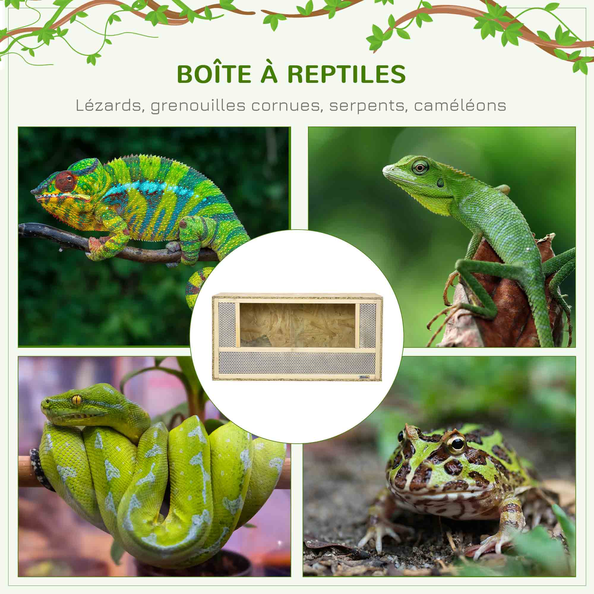 OSB Wooden Terrarium for Reptiles and Amphibians with Sliding Glass Door - 80 x 40 x 40 cm Natural