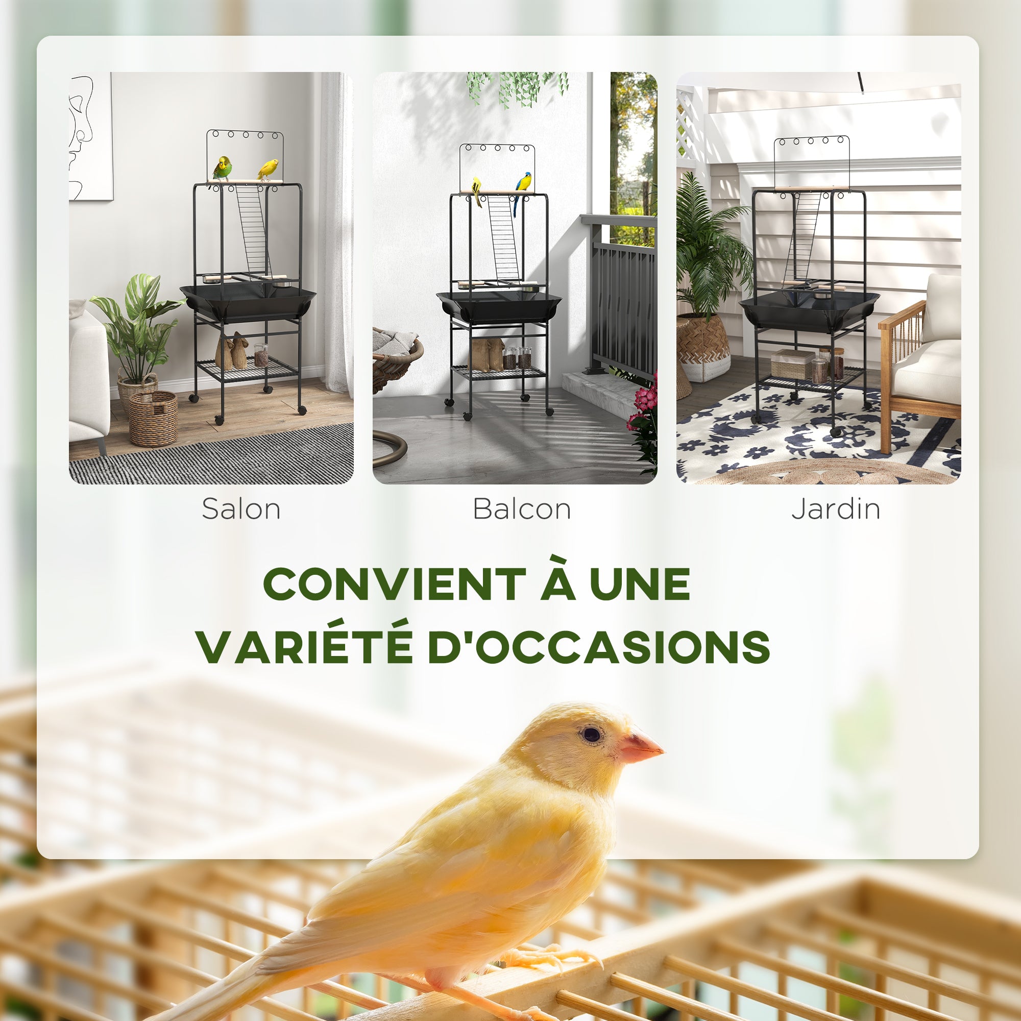 Bird Playpen Perches on Wheels for Parrots with 3 Wooden Perches, 1 Ladder, 2 Stainless Steel Feeders, Sliding Recovery Tray, 62.5 x 62.5 x 155 cm, Dark Grey