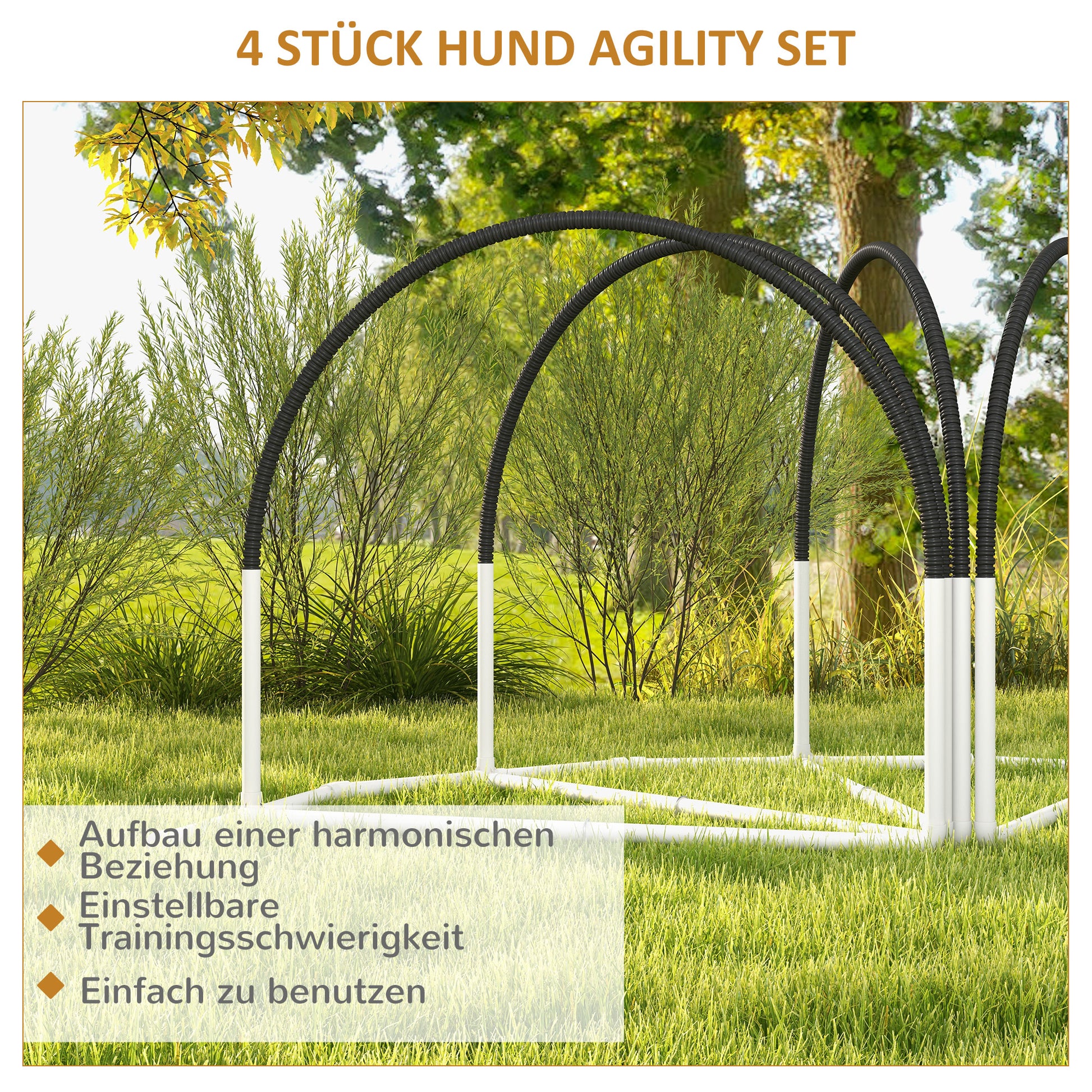 Dog Agility Set, 4-Piece Dog Training with Slalom Poles, Agility Equipment for Dogs with Oxford Carrying Bag, Black