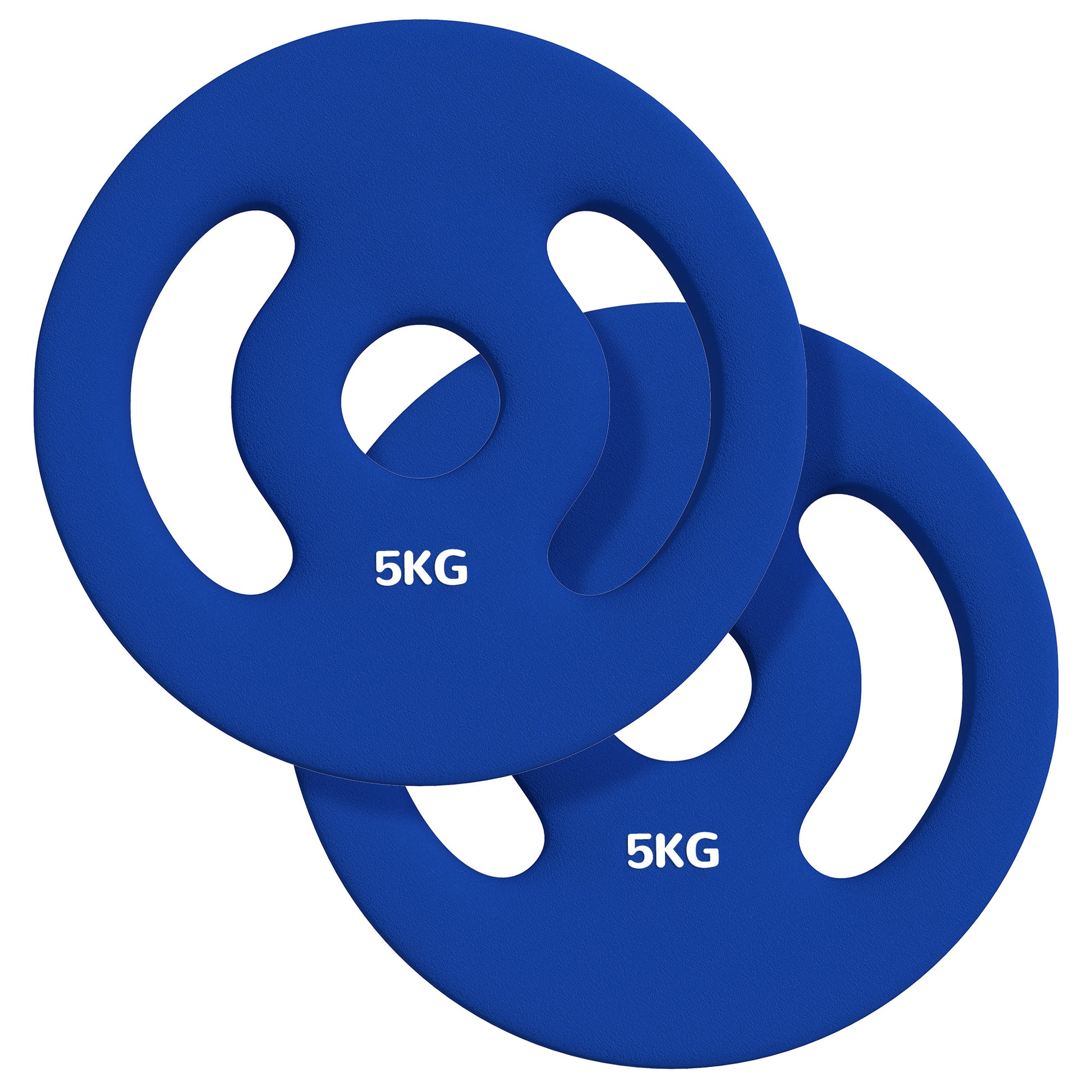 SPORTNOW 2-Piece Dumbbell Weights Set, 2 x 5 kg Weights, Dumbbell Plate Set, Weight Plates for 2.5 cm Bar, Ø 30 mm Bore, Blue
