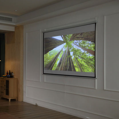 100" 4:3 Adjustable Height Projector Screen, Fabric and Metal Projection Screen, 203x152 cm, Black and White