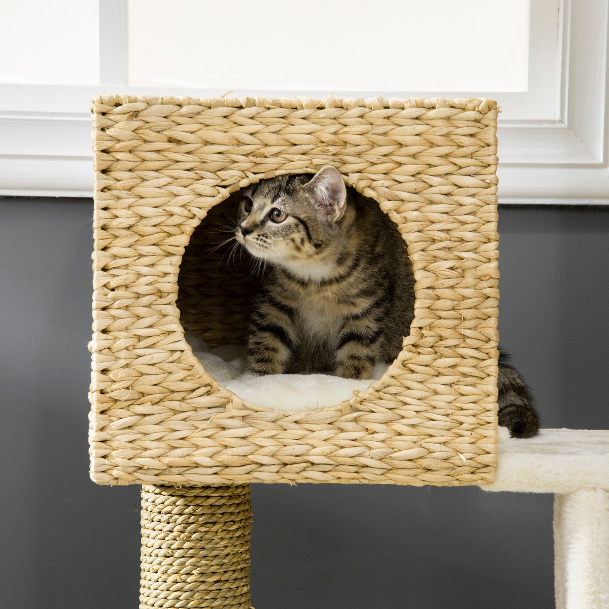 Scratching Post 100.5 cm Cat Tree with Cat Cave, Bed, Stairs, Cat Scratching Post with Sisal Scratching Posts, Cushions, for Cats up to 4.5 kg, Natural