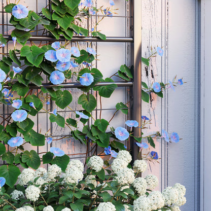 Raised Planter with Trellis, Garden Elevated Bed, Outdoor Flower Box - diamond pattern, drainage holes, galvanized steel flower bed for balcony terrace patio, 90x40x120 cm, black