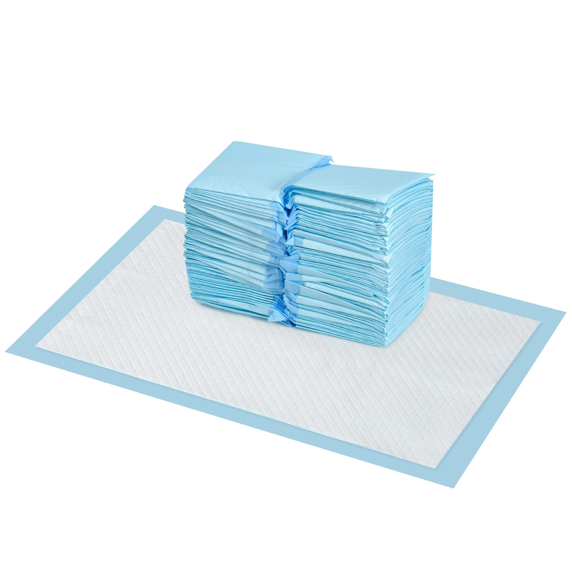 Pet Training Pads 100 Count 45x30 cm 6-Layer Design with Quick-Dry Surface Leak-Proof Blue