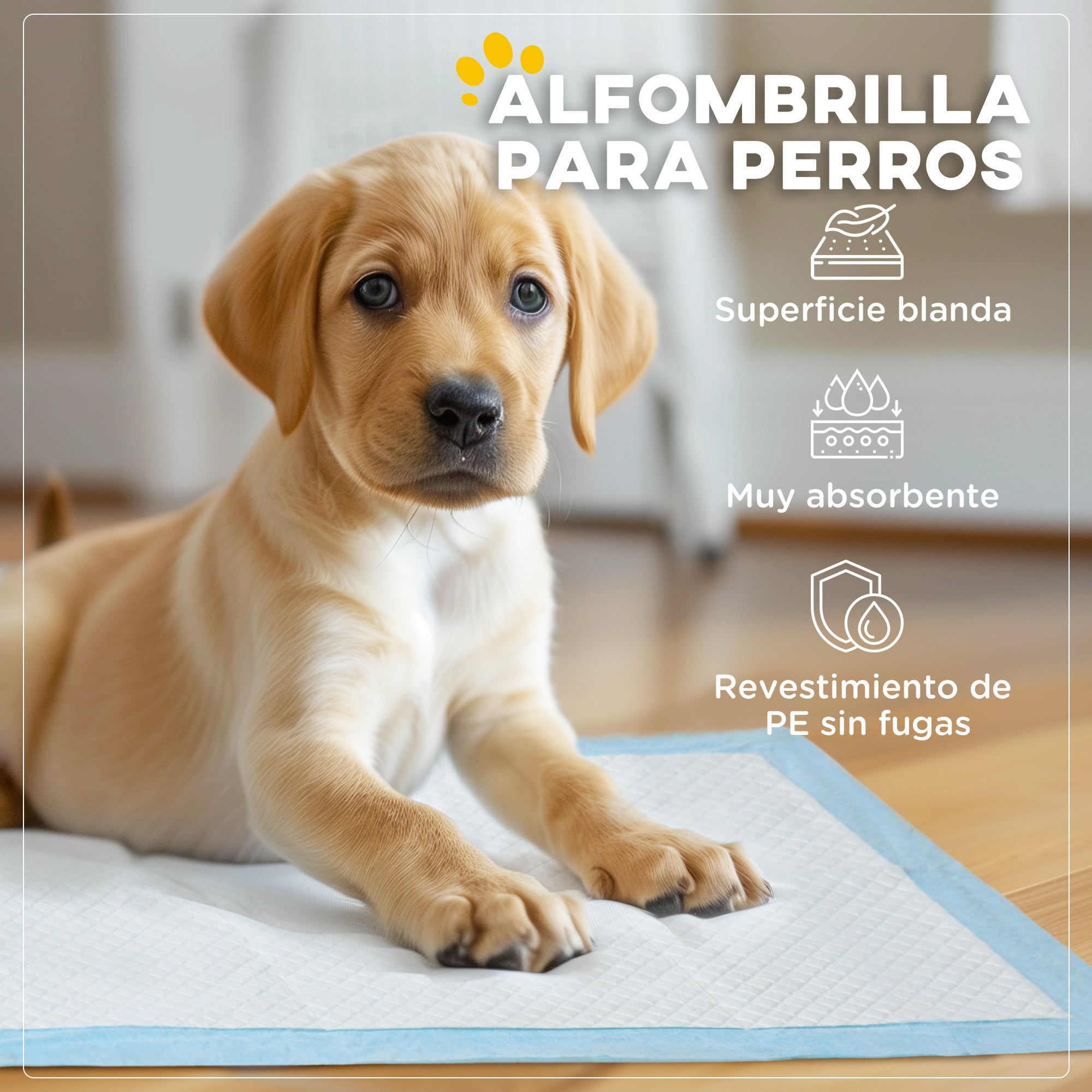 Pet Training Pads 100 Count 45x30 cm 6-Layer Design with Quick-Dry Surface Leak-Proof Blue
