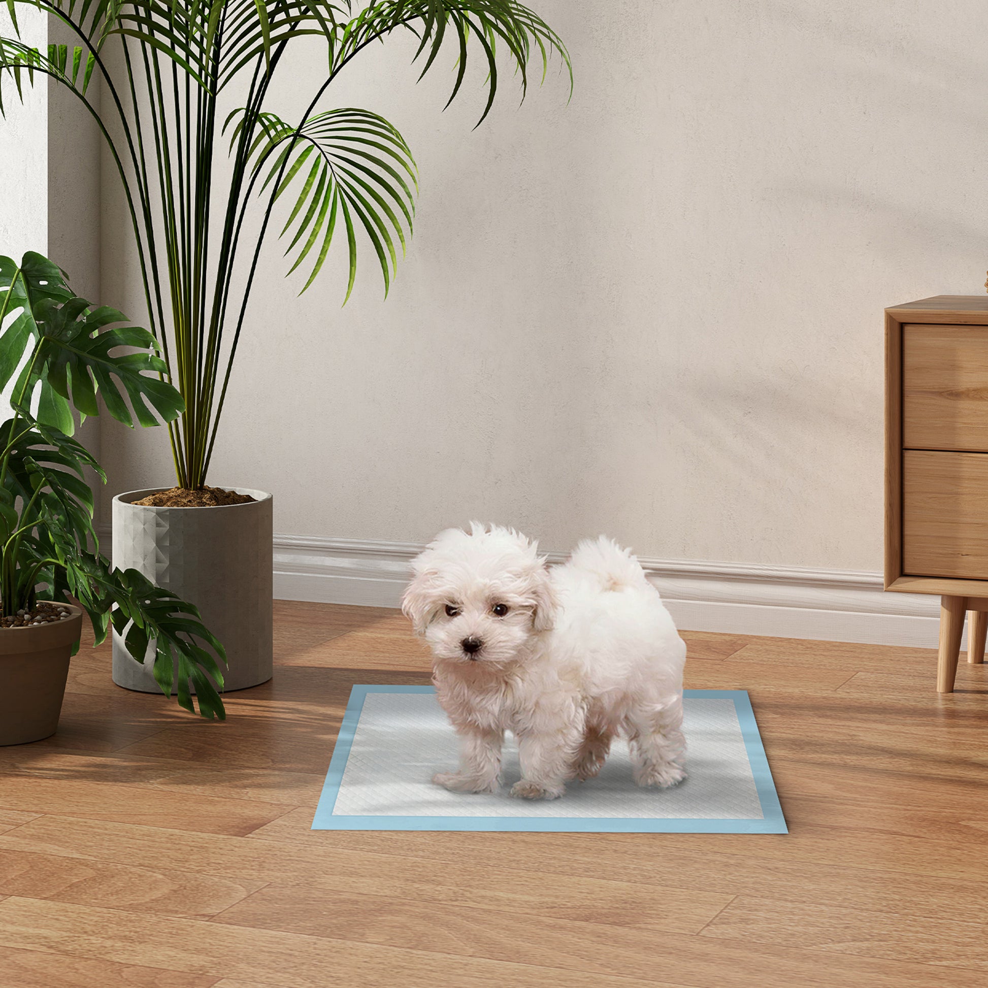 Pet Training Pads 100 Count 45x30 cm 6-Layer Design with Quick-Dry Surface Leak-Proof Blue