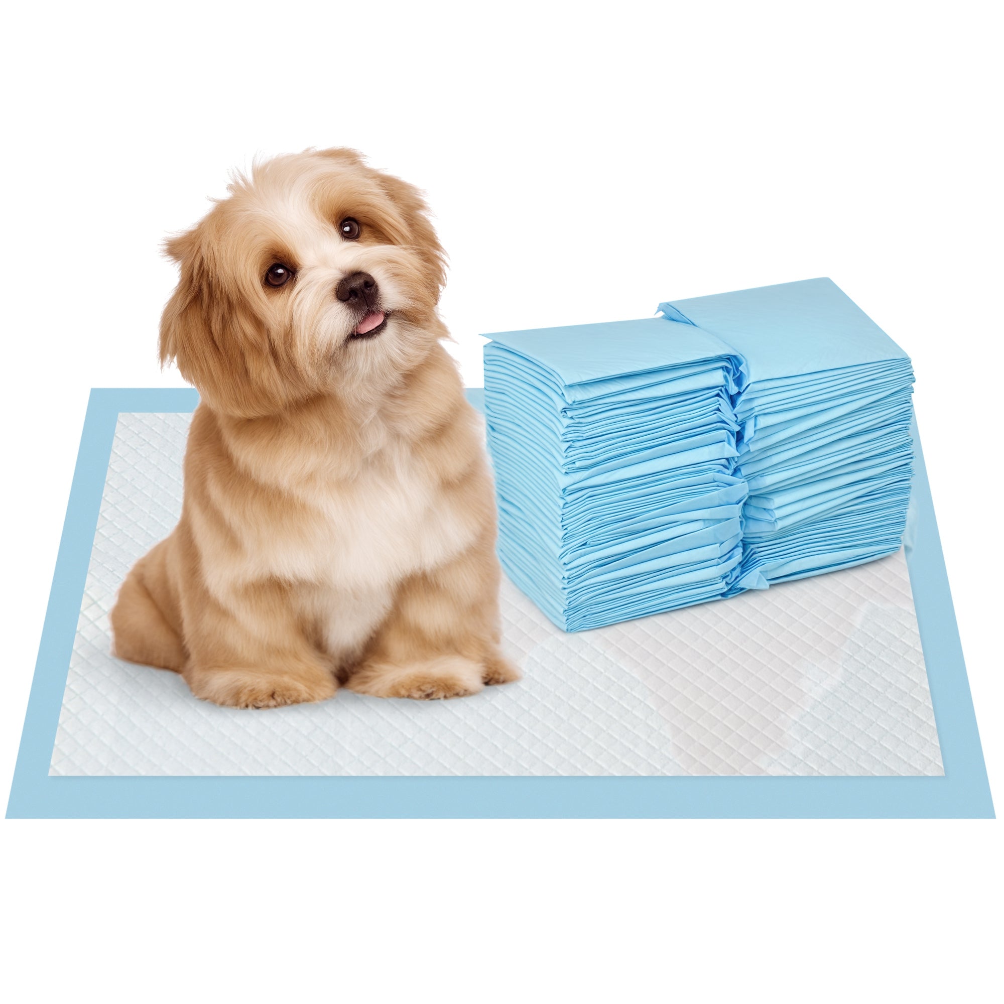 Pet Training Pads 100 Count 45x30 cm 6-Layer Design with Quick-Dry Surface Leak-Proof Blue