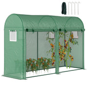 Greenhouse 300x100x200 cm Garden Greenhouse with 4 Windows and 2 Doors for Cultivating Plants, Flowers, and Vegetables made of PE and Steel