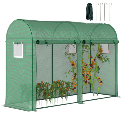 Greenhouse 300x100x200 cm Garden Greenhouse with 4 Windows and 2 Doors for Cultivating Plants, Flowers, and Vegetables made of PE and Steel