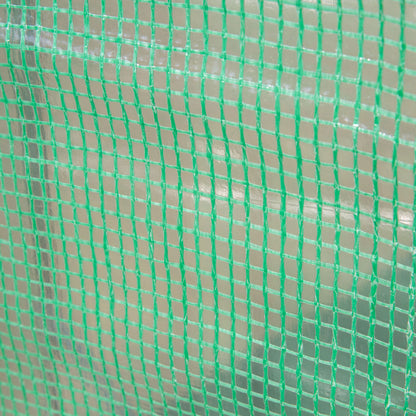 Greenhouse 300x100x200 cm Garden Greenhouse with 4 Windows and 2 Doors for Cultivating Plants, Flowers, and Vegetables made of PE and Steel