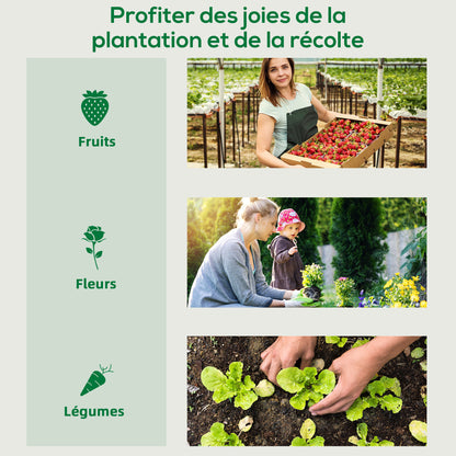 PE Garden Greenhouse, Balcony Greenhouse, 140 gsm Reinforced Tarpaulin, Steel Frame, Roll-Up Zippered Door, for Vegetables Plants Flowers, Indoor and Outdoor, 200 x 77 x 169 cm, Green