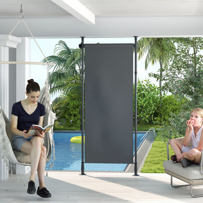 Vertical Awning 120 x 220-310cm Retractable Vertical Awning Clamp Awning with Crank Sun Protection Privacy Wind Protection Outdoor Roller Blind Awning for Balcony Terrace Garden Dark Gray