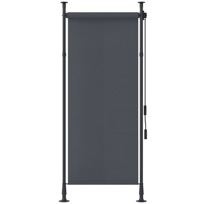 Vertical Awning 120 x 220-310cm Retractable Vertical Awning Clamp Awning with Crank Sun Protection Privacy Wind Protection Outdoor Roller Blind Awning for Balcony Terrace Garden Dark Gray
