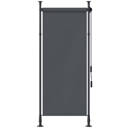 Vertical Awning 120 x 220-310cm Retractable Vertical Awning Clamp Awning with Crank Sun Protection Privacy Wind Protection Outdoor Roller Blind Awning for Balcony Terrace Garden Dark Gray