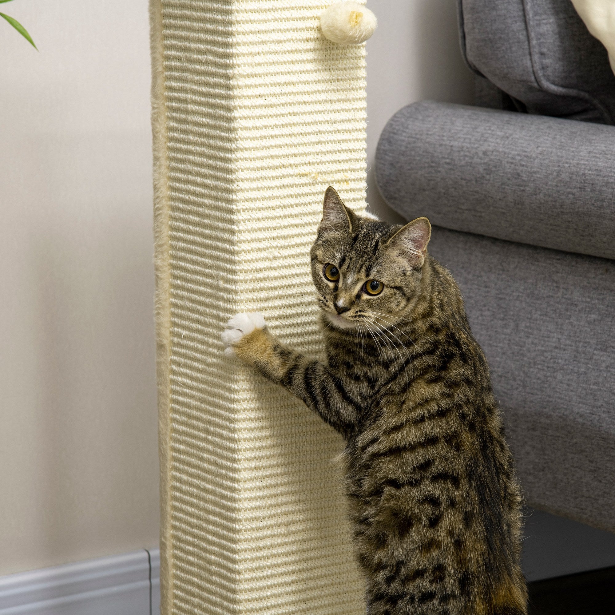 Scratching Post, 80 cm, Scratching Post for Cats with Play Ball, Sisal Rope Scratching Post, Cat Scratcher with Scratching Board, Cat Furniture, Oak+Cream White
