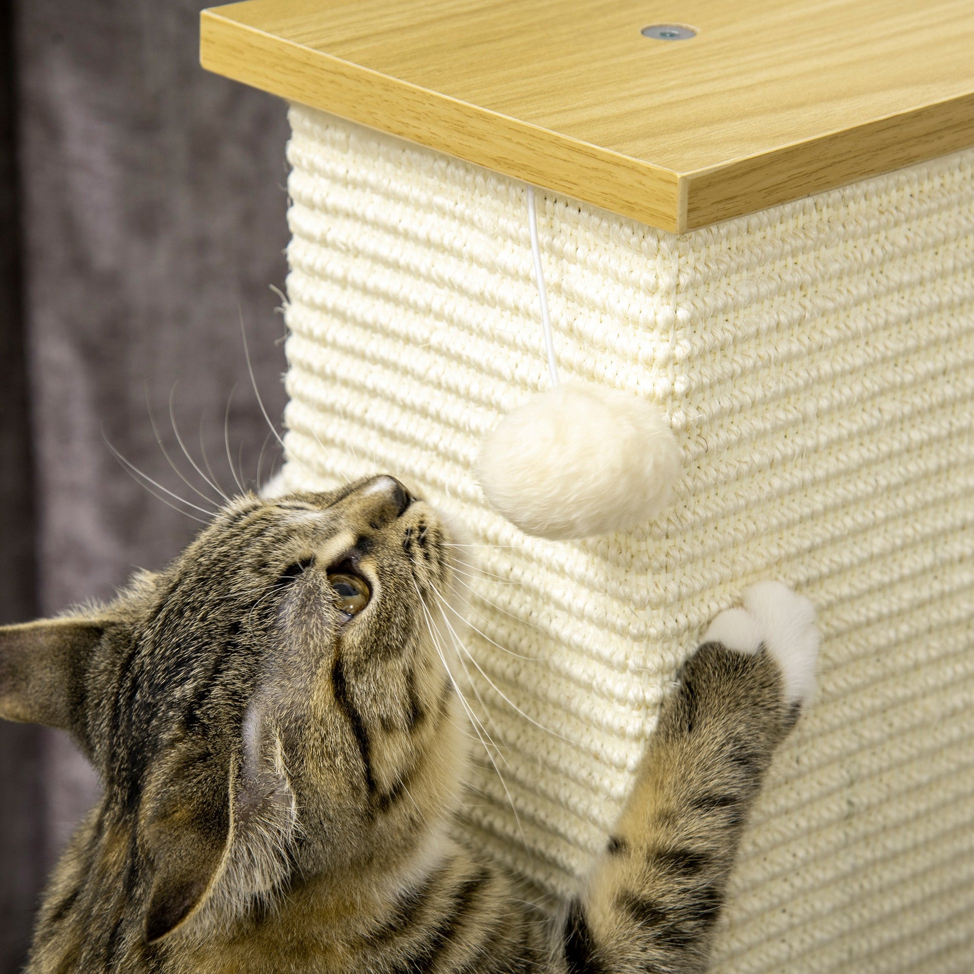 Scratching Post, 80 cm, Scratching Post for Cats with Play Ball, Sisal Rope Scratching Post, Cat Scratcher with Scratching Board, Cat Furniture, Oak+Cream White
