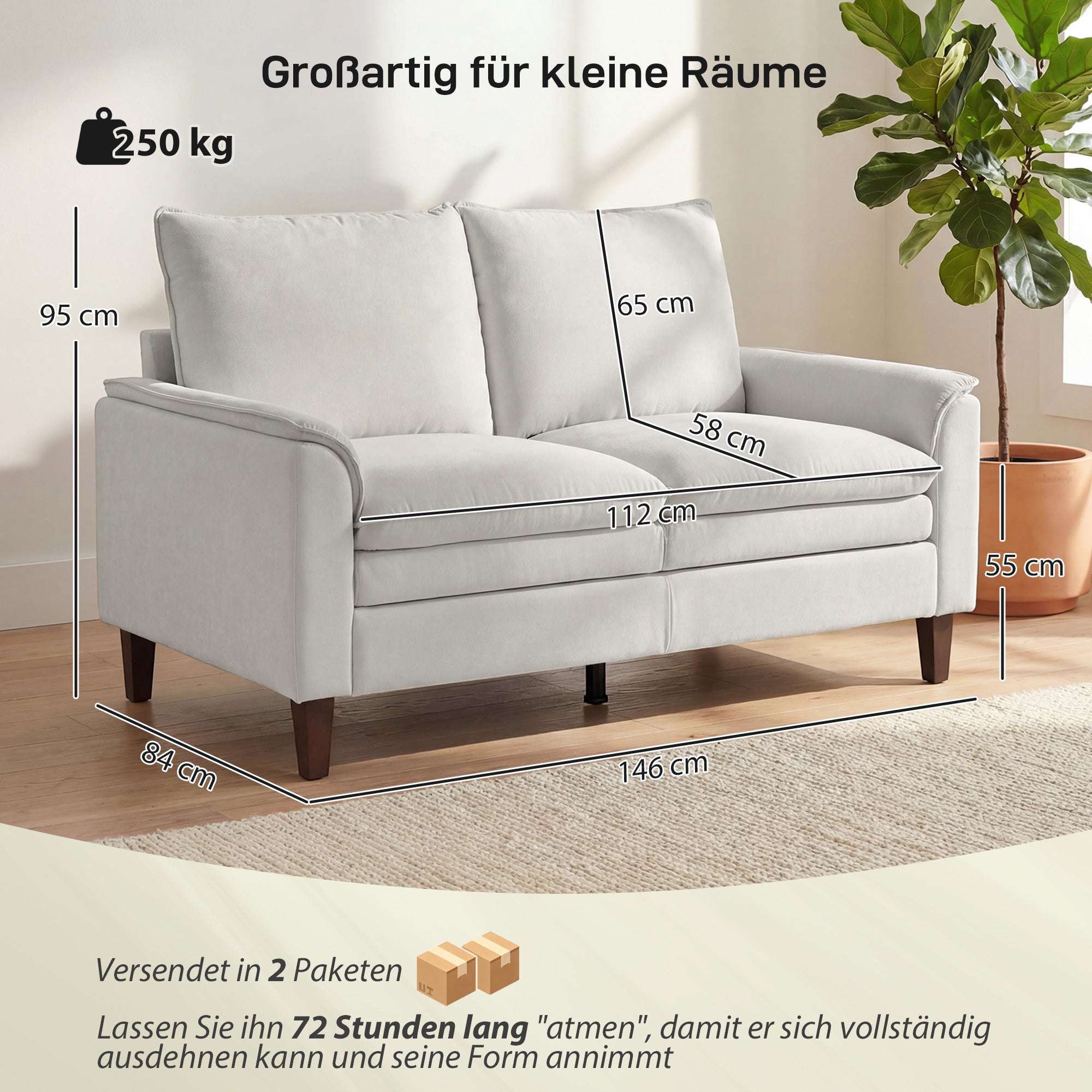 57.5 in 2-Seater Loveseat Sofa, Modern Chenille with Dual-Layer Cushioning, Pocket-Spring Seat, Deep Seating, High Back & Rubberwood Legs – Cream White