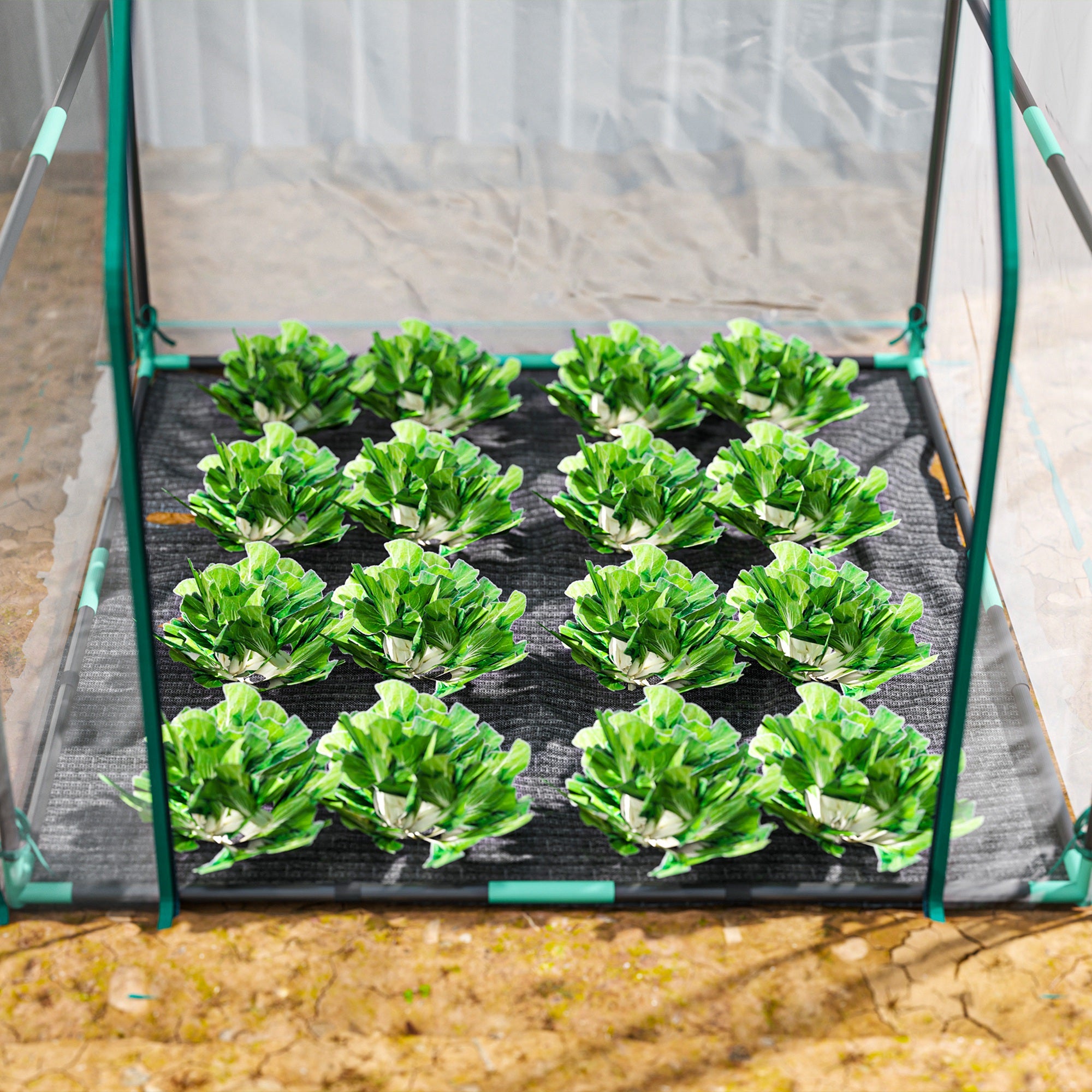 Small Greenhouse Outdoor Greenhouse with Zippered Door Waterproof PE Fabric Base and Steel Frame Greenhouse for Growing Plants Flowers 90x90x105 cm Clear