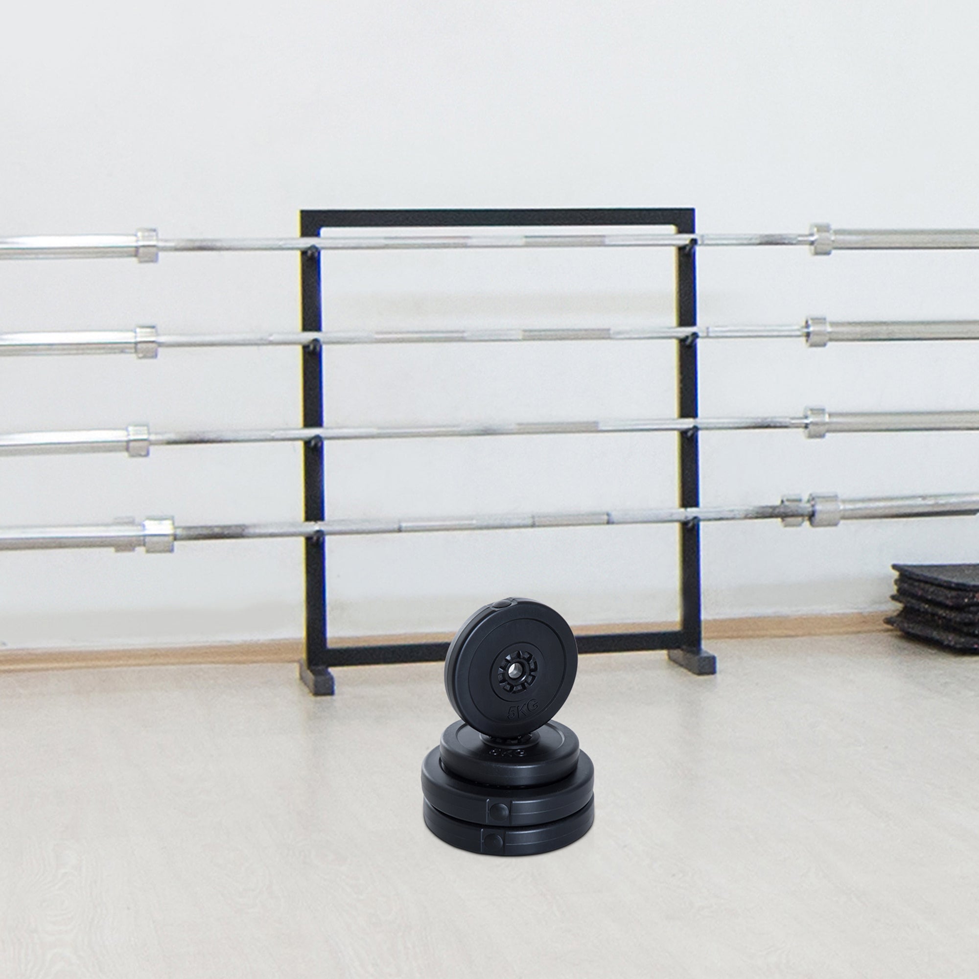 Set of 4 Weight Plates 2x5 kg and 2x10 kg Weight Plate Set with 25mm Hole for Barbell or Dumbbells Strength Training Weightlifting Black