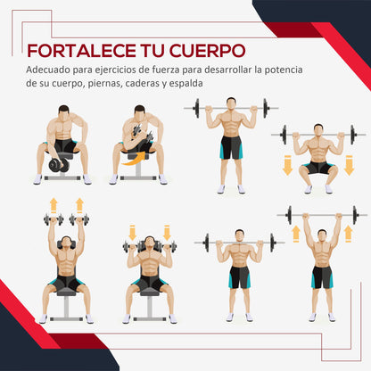 Set of 4 Weight Plates 2x5 kg and 2x10 kg Weight Plate Set with 25mm Hole for Barbell or Dumbbells Strength Training Weightlifting Black