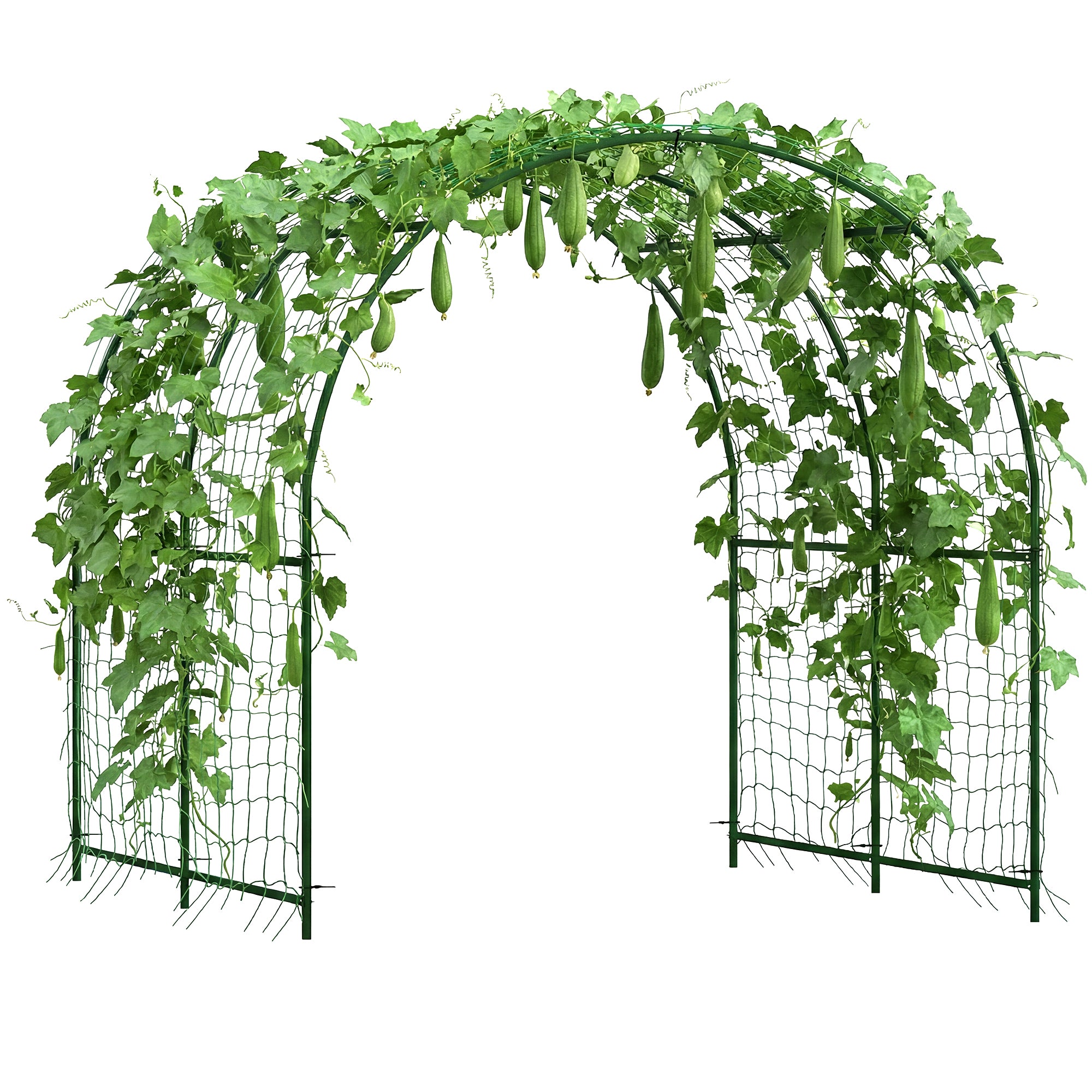 Rust-Resistant Curved Metal Trellis Arch for Tomatoes & Climbers, 210 x 250 x 216 cm – Dark Green
