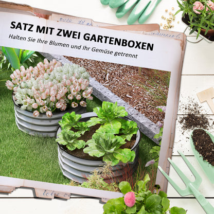 Raised Bed Set of 2 Metal Flower Boxes, Herb Bed, Plant Box with Open Bottom, Vegetable Bed for Garden, Balcony, Silver, 60 x 60 x 30 cm
