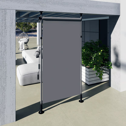 Vertical Awning 150 x 220-310cm Retractable Vertical Awning Clamp Awning with Crank Sun Protection Privacy Wind Protection External Roller Blind Awning for Balcony Terrace Garden Dark Gray