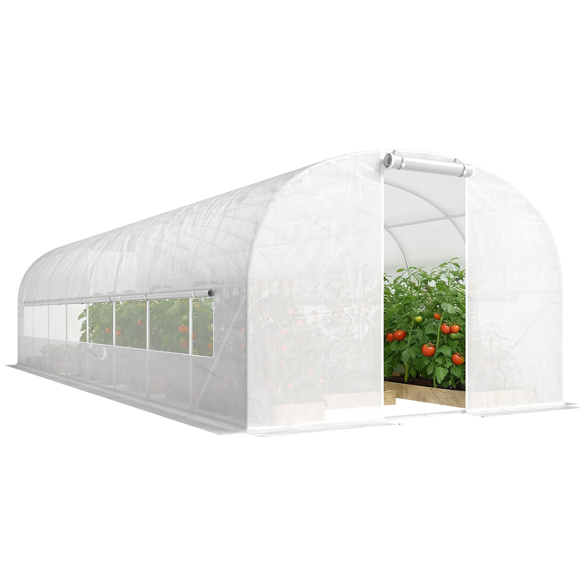 24 m² (258 sq ft) Tunnel Greenhouse — Galvanized Steel Frame, Roll-Up Doors & 2 Large Mesh Windows, 140 gsm PE Cover, White