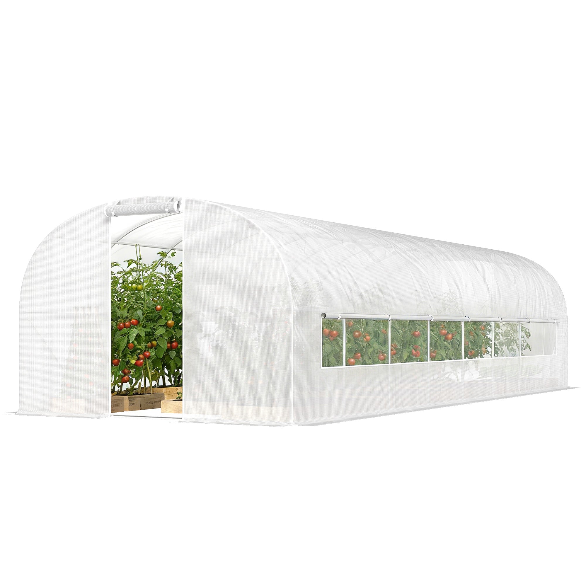 24 m² (258 sq ft) Tunnel Greenhouse — Galvanized Steel Frame, Roll-Up Doors & 2 Large Mesh Windows, 140 gsm PE Cover, White