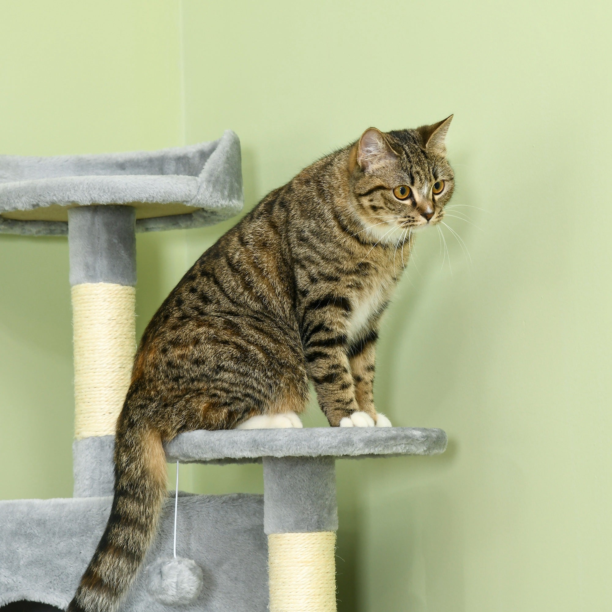 Cat Tree 200 cm Cat Tower with Cave, 2 Play Balls, Sisal Posts, Platform, Hammock, Multi-Level Cat Scratching Tree, Climbing Tree, for Large Cats, Light Gray