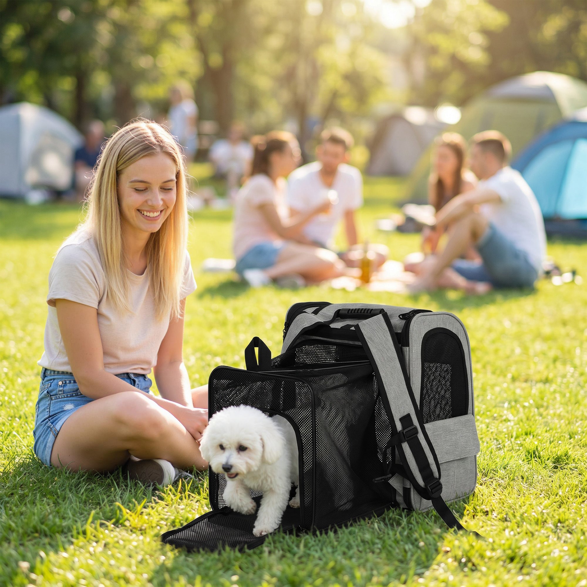 Expandable Dog Carrier with Door, 33.5 x 28 x 42 cm (13.2 x 11.0 x 16.5 in) – 5 Pockets, Reflective Stripe, Carrier for Cats & Dogs up to 10 kg (22 lb) – Light Gray