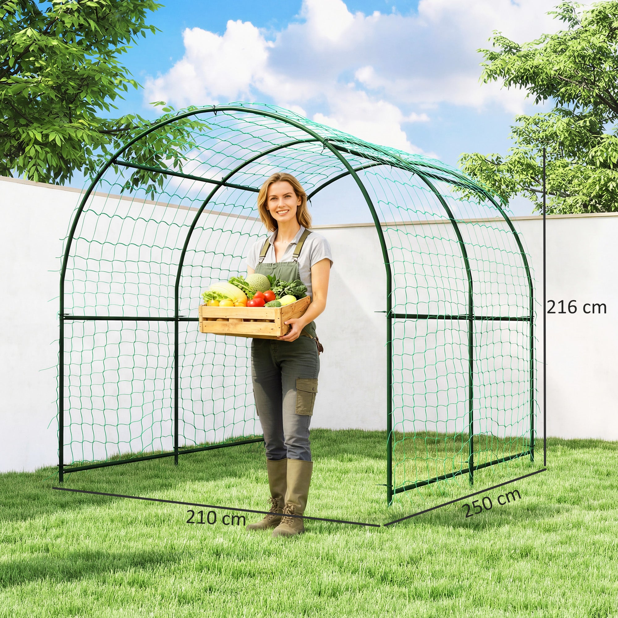 Rust-Resistant Curved Metal Trellis Arch for Tomatoes & Climbers, 210 x 250 x 216 cm – Dark Green