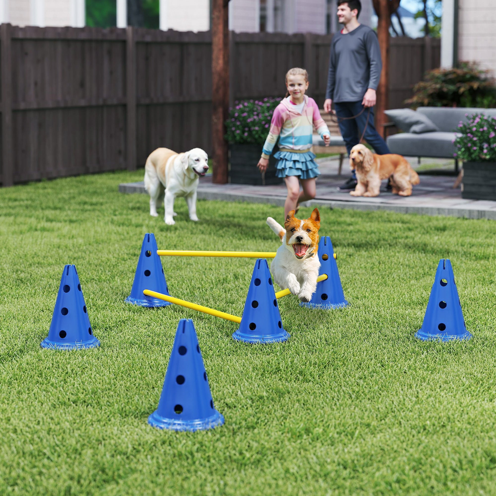 3-Piece Dog Agility Set with 6 Cones, 3 Adjustable Hurdles & Carry Bag