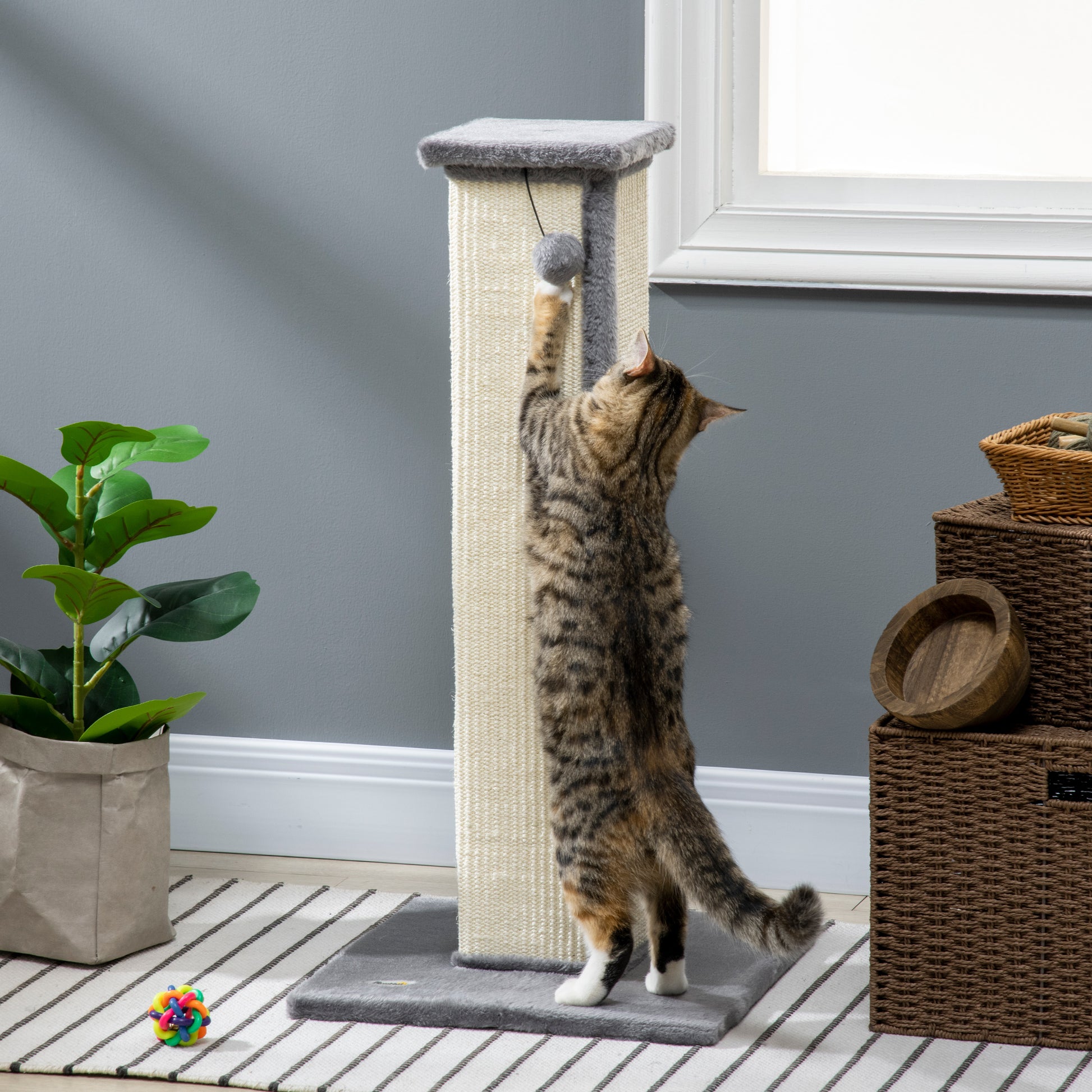 Scratching Post, 81cm Scratching Column, Sisal Cat Scratching Tree with Play Ball, Cat Scratching Furniture for Cats up to 5 kg, Indoor, Gray, Cream