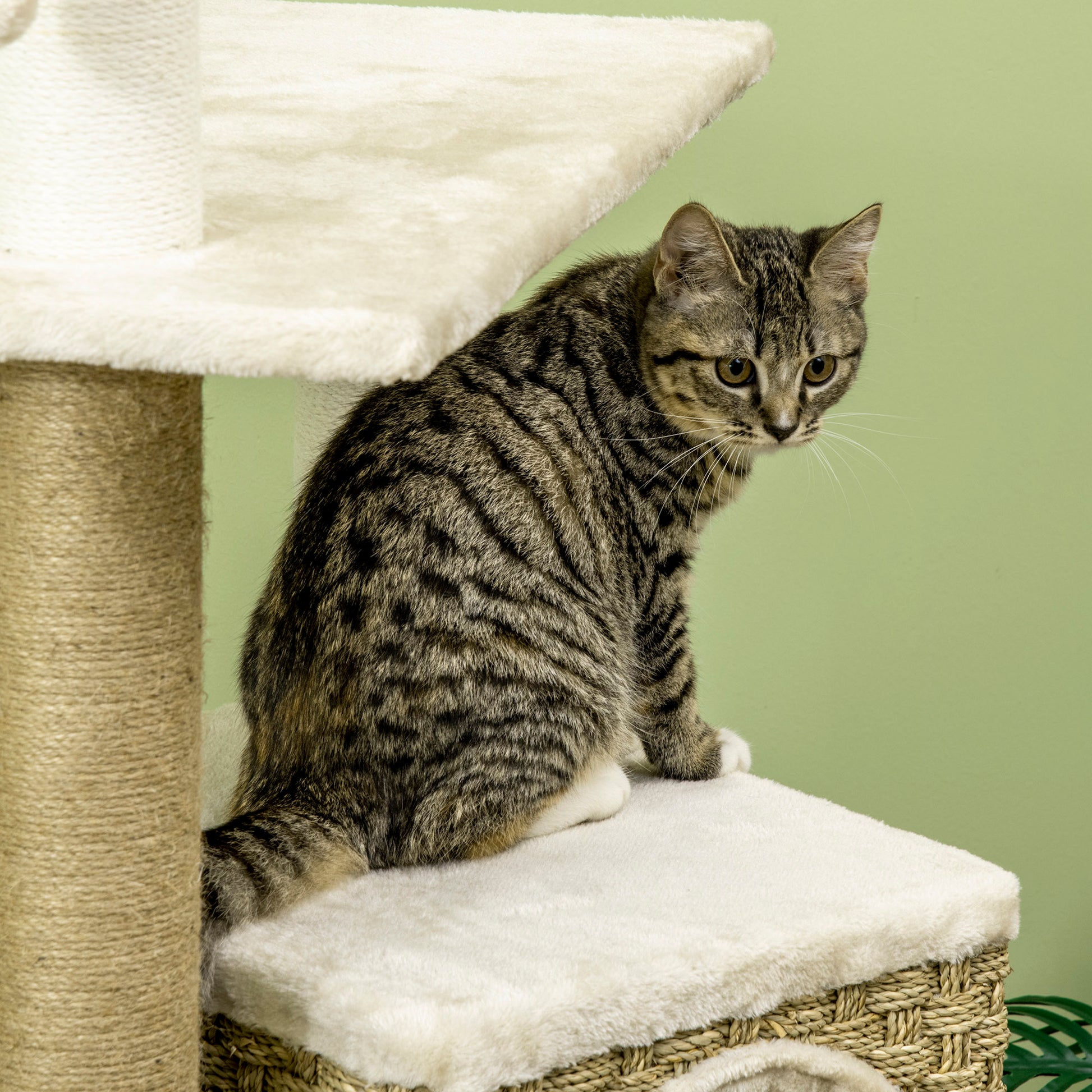 Cat Tree Climbing Scratcher for Cats 128 cm High Cozy Chic Style Hideaway Platforms Hanging Ball Short Plush Beige