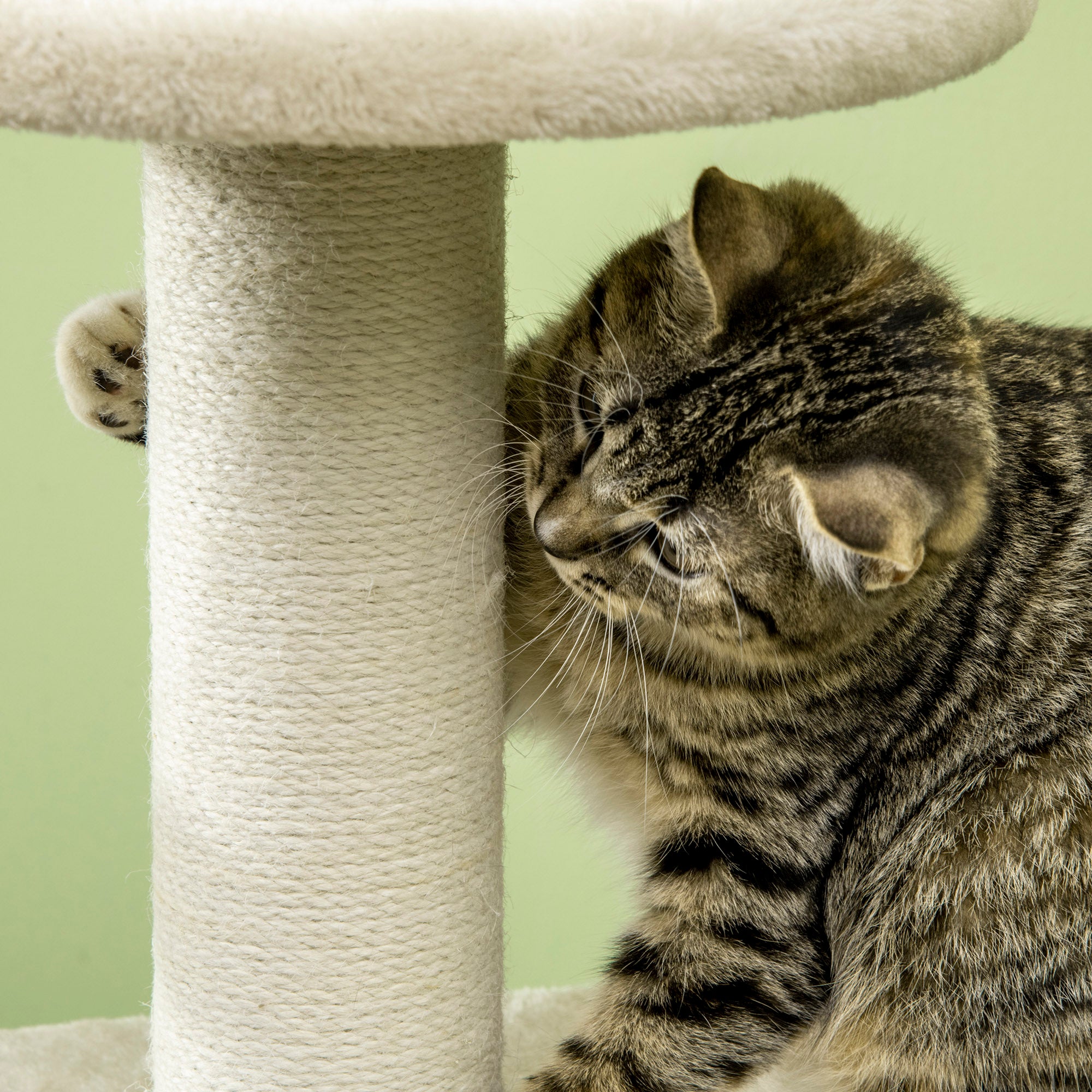 Cat Tree Climbing Scratcher for Cats 128 cm High Cozy Chic Style Hideaway Platforms Hanging Ball Short Plush Beige