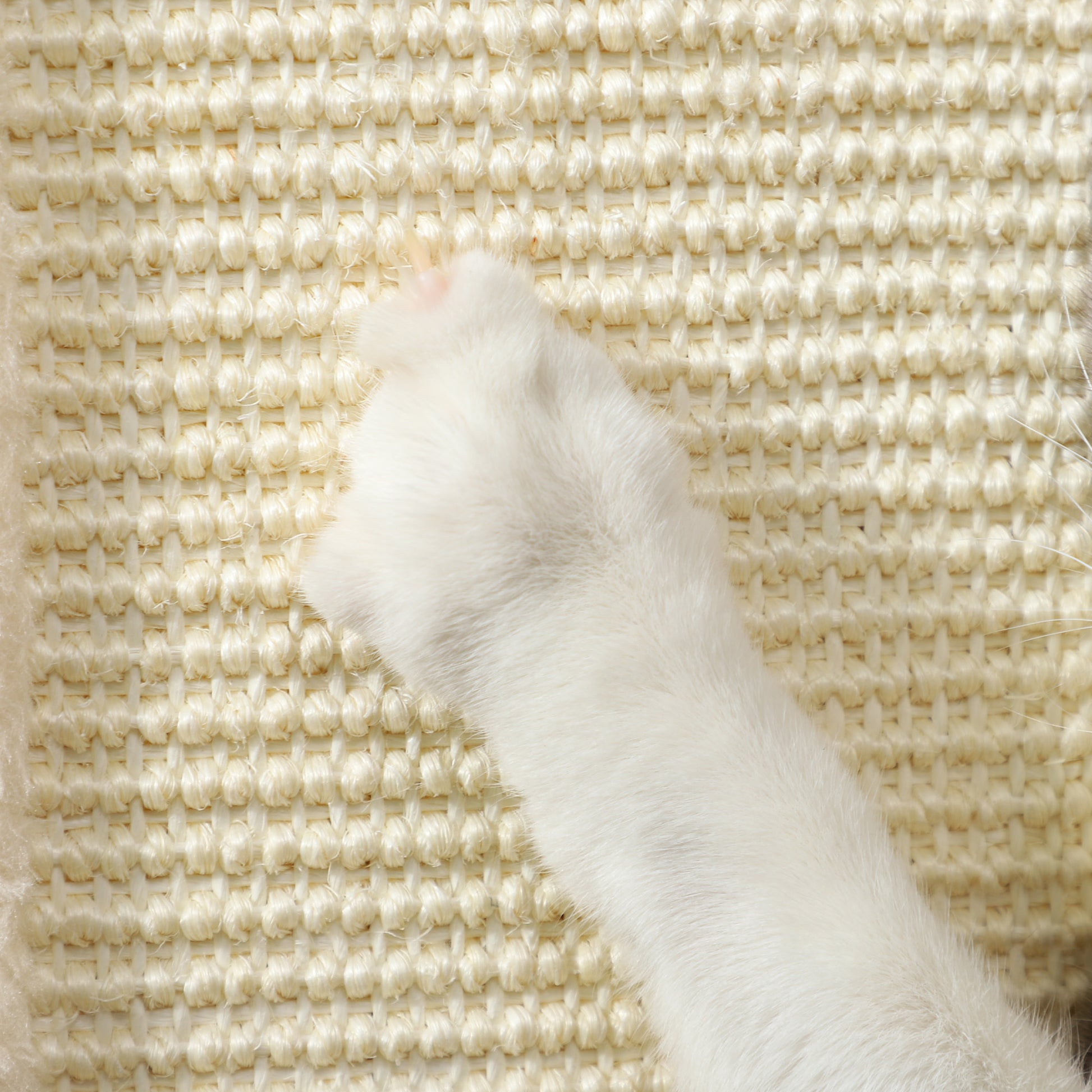 3-in-1 Scratching Post, 67cm Scratching Column, Sisal Cat Scratching Tree with Play Ball, Cat Scratching Furniture, Indoor, Oak