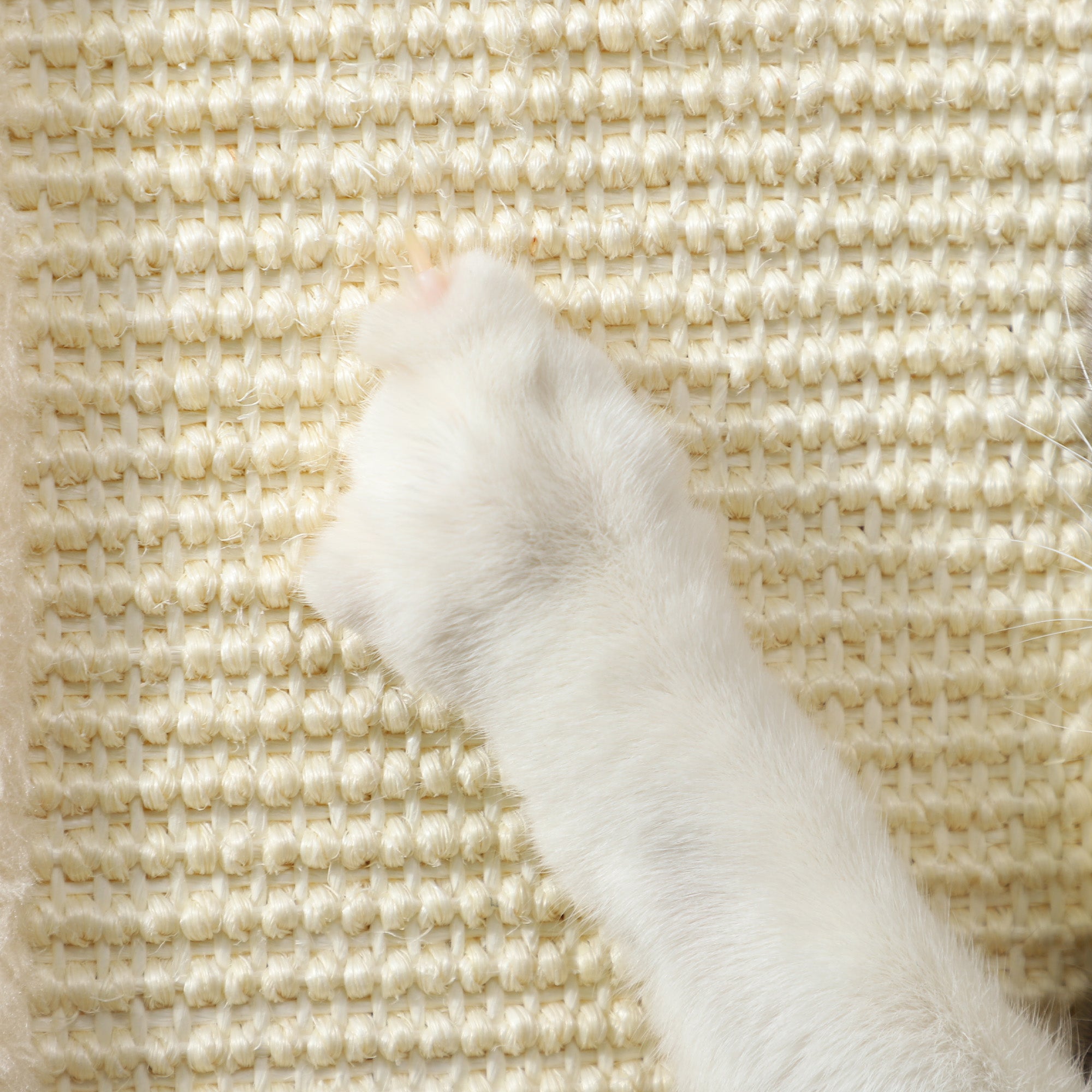 3-in-1 Scratching Post, 67cm Scratching Column, Sisal Cat Scratching Tree with Play Ball, Cat Scratching Furniture, Indoor, Oak