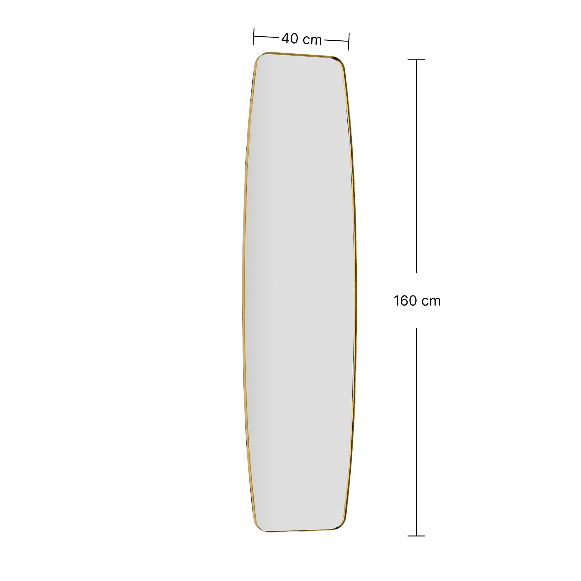 Wall Mirror 63 x 15.7 in (160 x 40 cm) Metal Frame — Decorative Full-Length Hanging Mirror for Hallway, Bedroom & Living Room, Gold