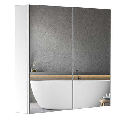 Stainless Steel Frame Mirror Cabinet with Storage Shelf for Bathroom Toilet dim. 60L x 12W x 55H cm