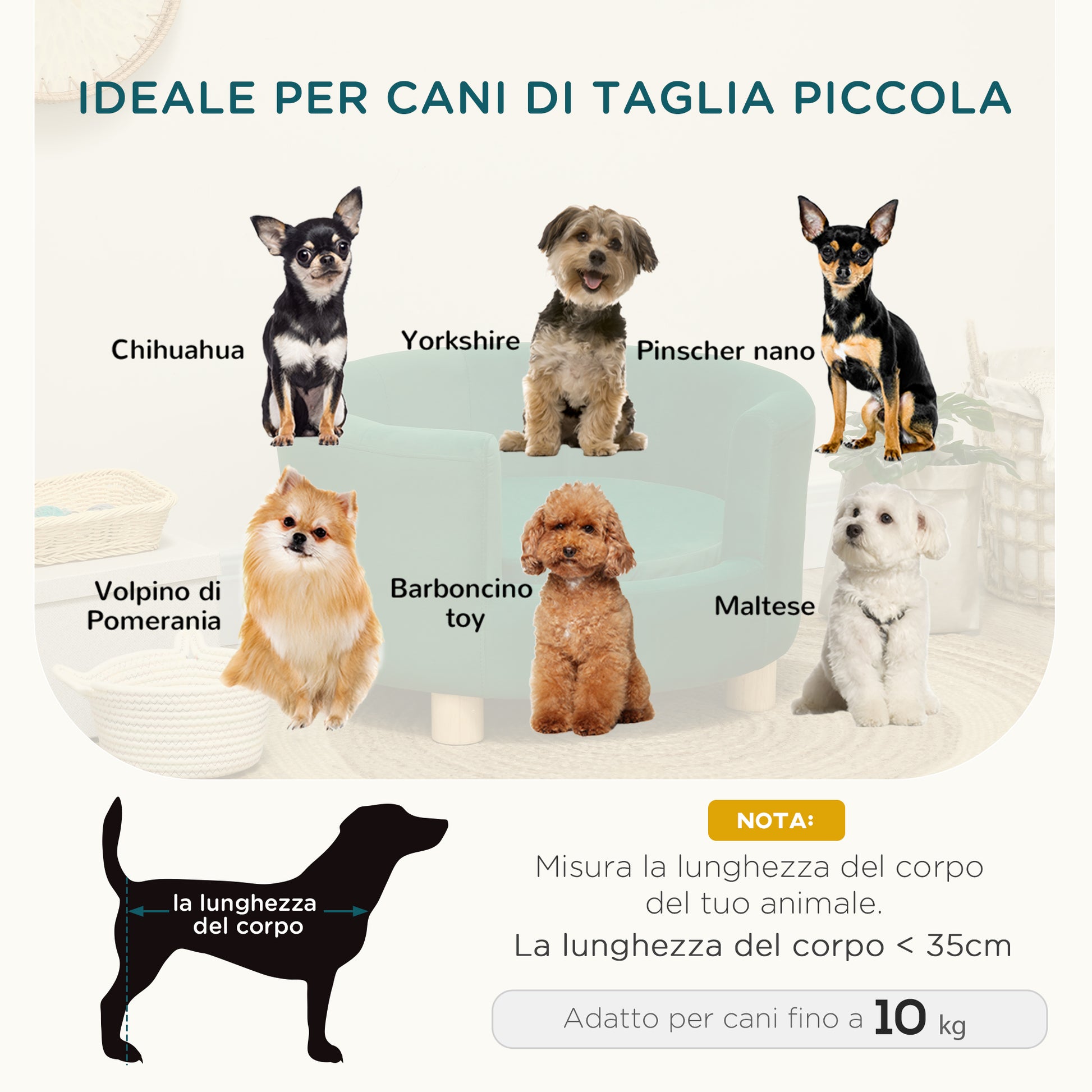 Padded Sofa for Dogs with Backrest and Removable Cushion, Indoor Cat Bed, 65x64x37 cm, Green