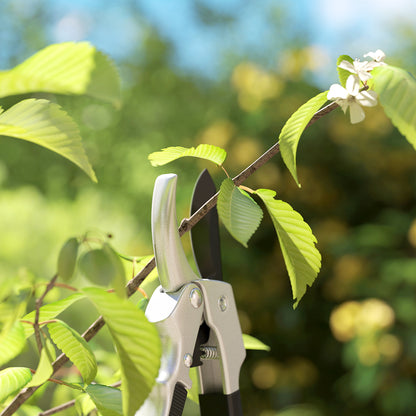 Set of 3 Garden Pruners, Cutting Kit for Gardening, Anvil Pruner, Bypass Pruner, Pruning Shears, with Sharp Metal Blade, Aluminum Handles, Silver, Black