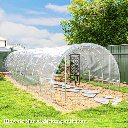 Greenhouse Film 6x10 m Waterproof Garden Film with UV Protection, Extra Thick Tear-Resistant Plastic Film, Cover for Greenhouse Poly Tunnel, Tunnel Film for Outdoor Area Transparent
