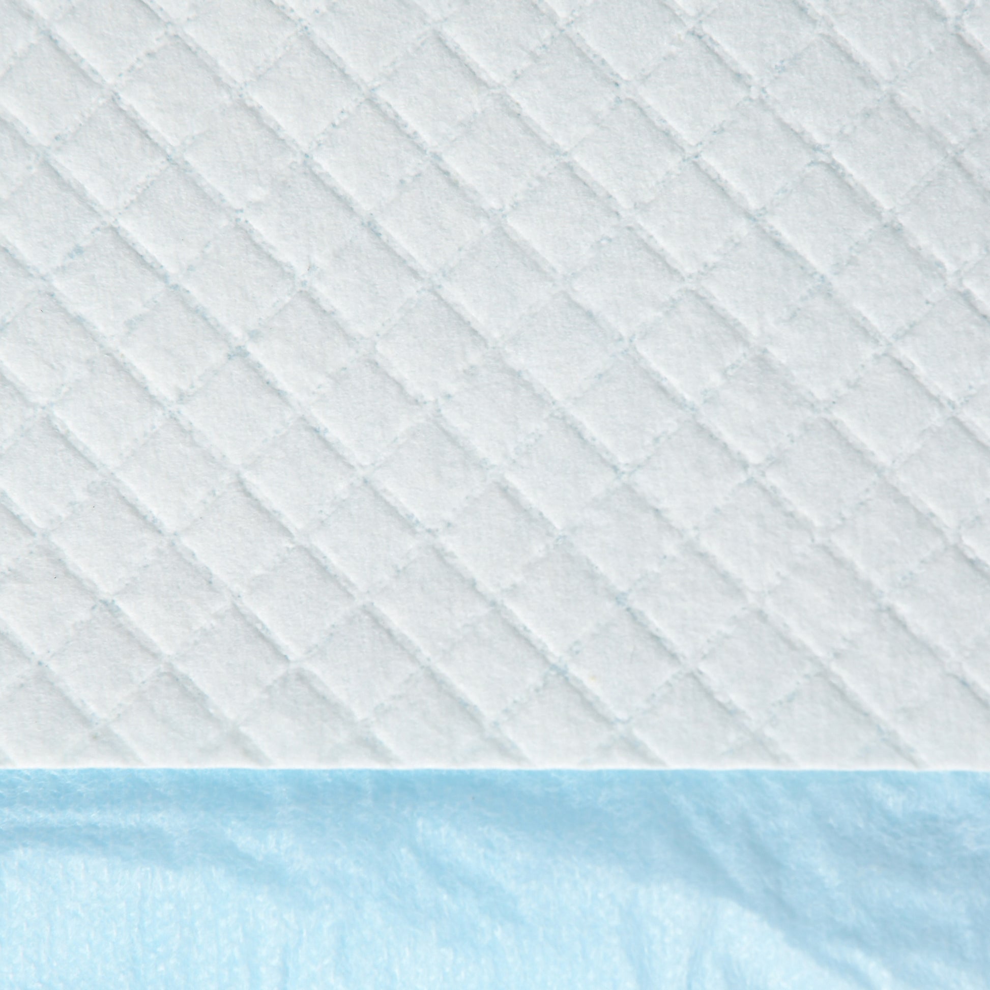 Dog Pads 100 Pack 45x60 cm Pet Training Pads 6-Layer Design with Quick-Drying Leak-Proof Surface Blue