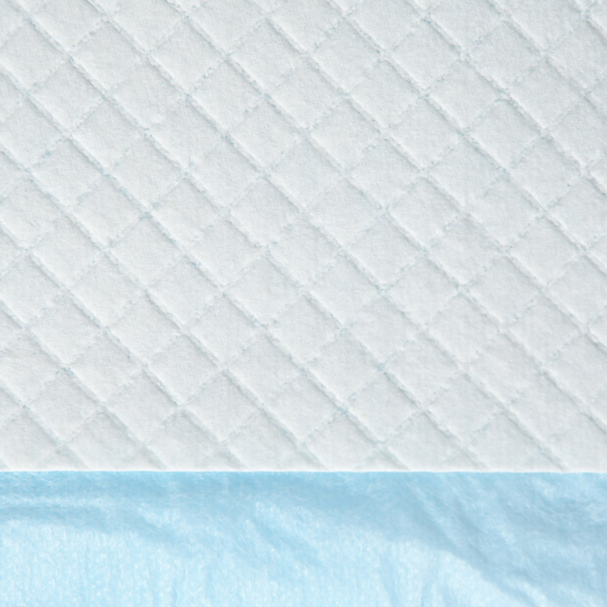 Dog Pads 100 Pack 45x60 cm Pet Training Pads 6-Layer Design with Quick-Drying Leak-Proof Surface Blue