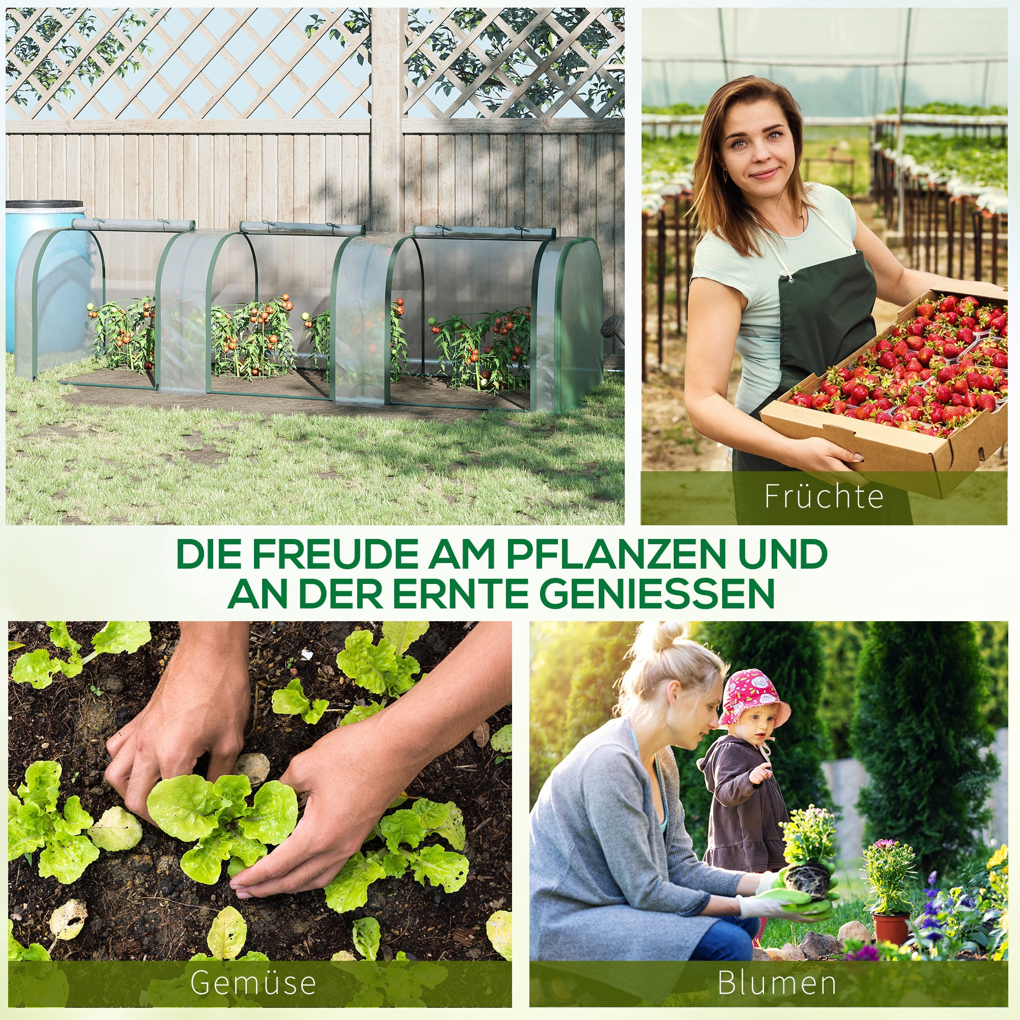 Greenhouse with Door, Winter-Proof Film Greenhouse Made of Steel, Greenhouse for Balcony, Garden, Tomato House 295x100x80cm, Tomato Greenhouse for Tomatoes, Vegetables, Flowers, Plants, Transparent